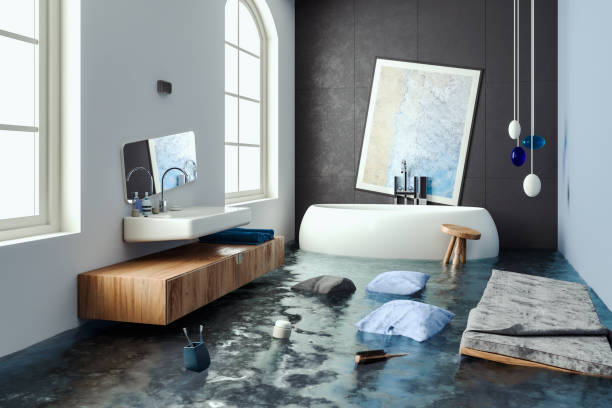 Best Mold removal after water damage  in Manatee Road, FL