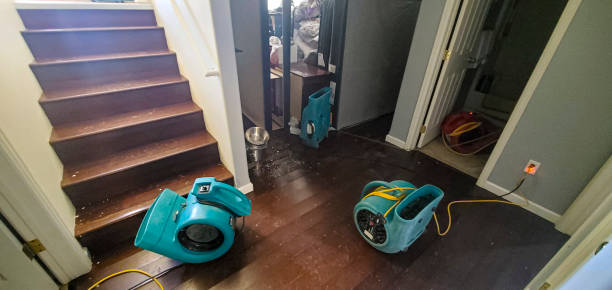 Reliable Manatee Road, FL Water damage restoration Solutions