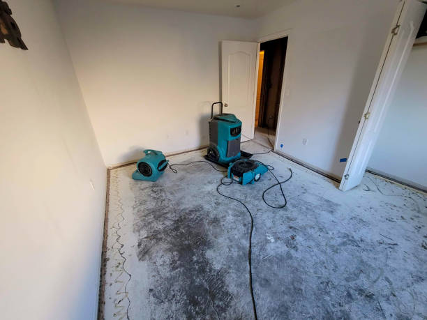 Best Residential water damage restoration  in Manatee Road, FL
