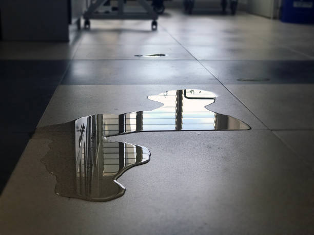 Best Water damage restoration specialists  in Manatee Road, FL
