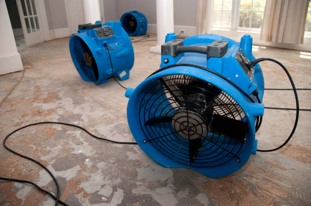 Best Water damage restoration services  in Manatee Road, FL