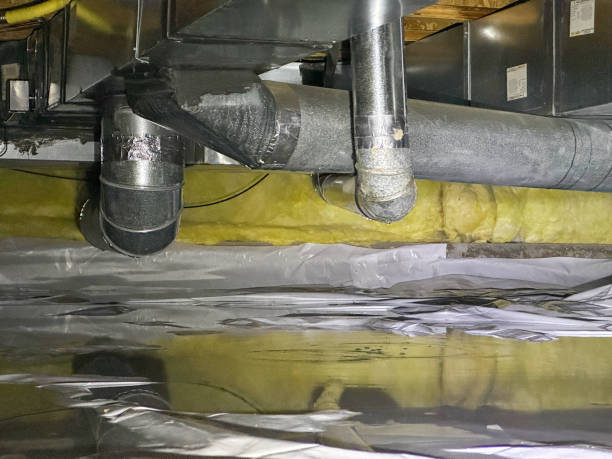 Best Flood restoration services  in Manatee Road, FL