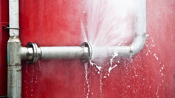 Best Flood restoration services  in Manatee Road, FL